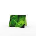 Forest Ferns Note Card