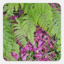Forest ferns with pink flower petals on ground sticker