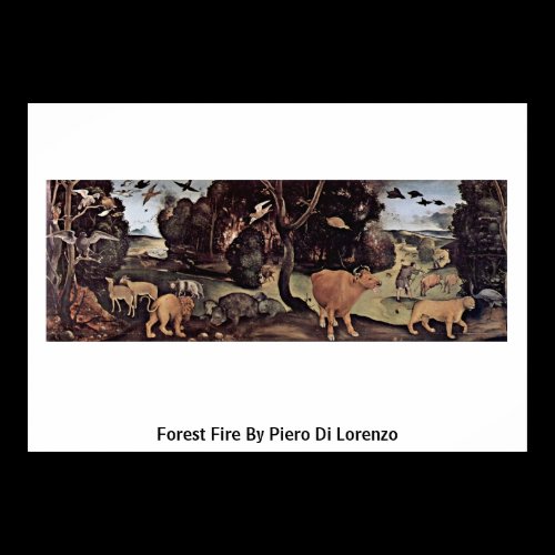 Forest Fire By Piero Di Lorenzo Poster