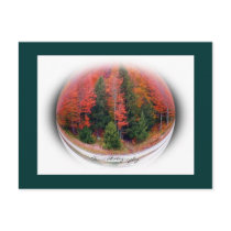Forest Fire - Terra Photography Logo postcards
