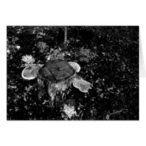 Forest Floor cards
