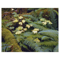 Forest floor flyers