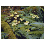 Forest floor flyers