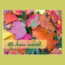 Forest Floor New Address Template postcards