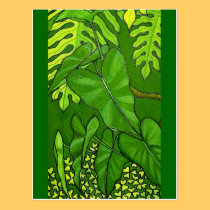 Forest Floor postcards