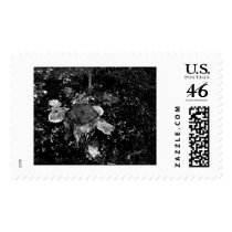 Forest Floor postage