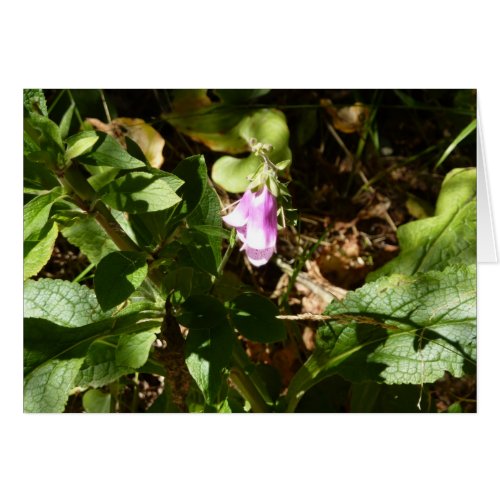 Forest Flower card