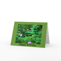 Forest Flowers, Happy Brithday cards by DutchessMarie Forest Flowers, Happy Brithday cards