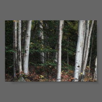 Forest for the Tree's - Logan Guinn posters