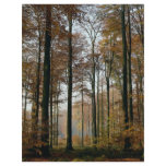 Forest from the Forest flyers