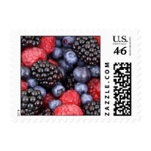 Forest Fruit Background Postage