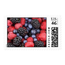 Forest Fruit Background Postage