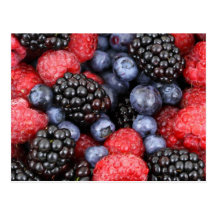 Forest Fruits Postcard