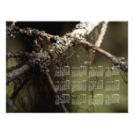 Forest Fuzz; 2013 Calendar Photo Art