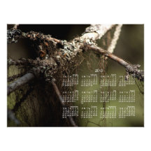 Forest Fuzz; 2013 Calendar Photo Art