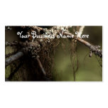 Forest Fuzz Business Card Templates