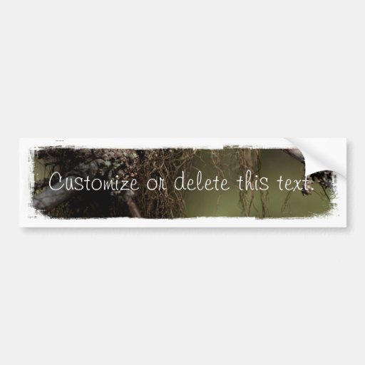 Forest Fuzz; Customizable Bumper Sticker