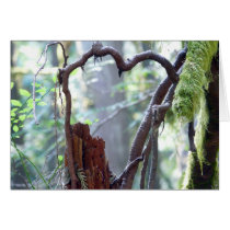 Forest Heart cards