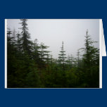 Forest in the Mist cards