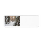 Forest in winter return address label