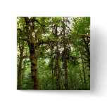 Forest interior, Washington Pinback Button