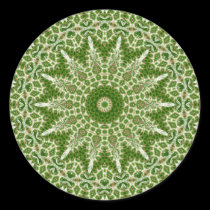 Forest Lace Sticker