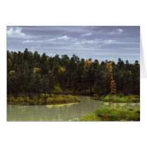 Forest Lake cards by Brian_Simes Forest Lake cards