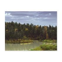 Forest Lake postcards by Brian_Simes Forest Lake postcards