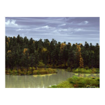Forest Lake posters by Brian_Simes Forest Lake posters
