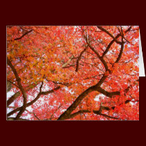 Forest Landscape Blank Card Beautiful Print Cards cards