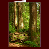 Forest Landscape Blank Card Beautiful Print Cards cards