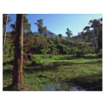 Forest landscape personalized flyer