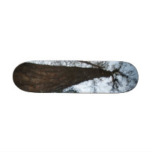 Forest Landscape Skateboard