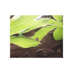 Forest Leaves Canvas Print