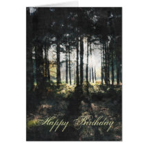Forest Light Cards