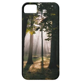 Forest Light iPhone 5 Case
