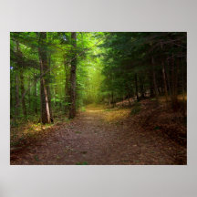 Forest Light Print