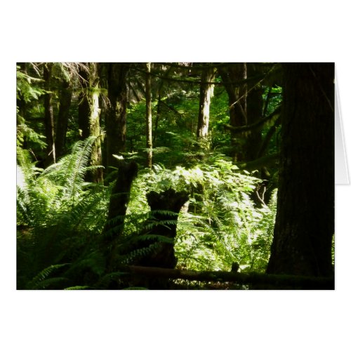 Forest Magic card