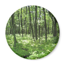 Forest magnet by gubanich Forest magnet