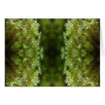 Forest Mist cards by TrishBacal Forest Mist cards