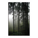 "FOREST MIST" Photo Print by RavenSpiritPrints "FOREST MIST" Photo Print