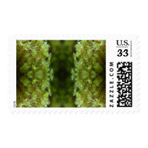 Forest Mist postage by TrishBacal Forest Mist postage
