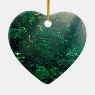 costa rica ornaments keepsake ornaments zazzle costa rica ornaments keepsake ornaments zazzle