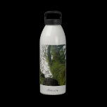 Forest moss and fern tree lanscape photography water bottles