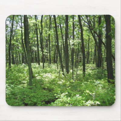Forest Mouse Pads by gubanich