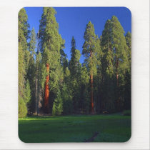 Forest mousepad