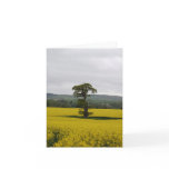 Forest Oak Greeting Cards