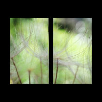 Forest of akenes canvas prints