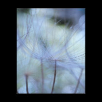 Forest of akenes canvas prints