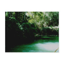 Forest of Dreamers postcards by calexa Forest of Dreamers postcards